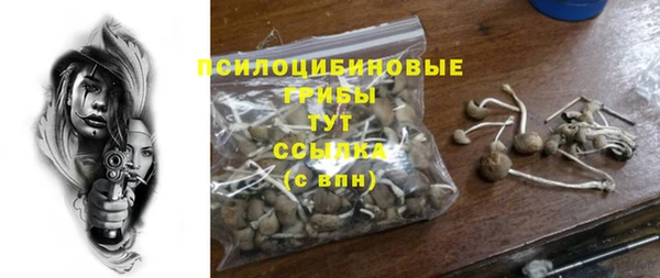 прущая мука Переславль-Залесский