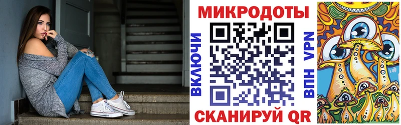 omg как войти  сколько стоит  Руза  Псилоцибиновые грибы Psilocybe 